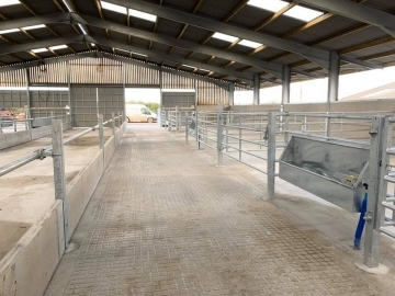 C&R Construction South West Ltd Beef housing