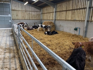 C&R Construction South West Ltd Calf and youngstock housing